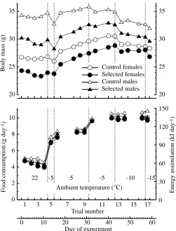 Fig. 2). Instead, all the remaining mass was dried and weighed,and approximate rates of food consumption and energyassimilation were calculated using an average digestibility