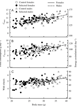 Fig. 3. Rates of food consumption (dry mass, gday−ofcorresponding values of the rate of energy assimilation(kJdaycold-induced rate of food consumption measured aftercold acclimation (1) inthe trial at 22°C with wheel access (C) and during theﬁrst exposure 