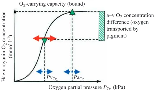 Fig. 2. Summary of the modulators of intrinsic haemocyanin oxygen affinity and their bearing on oxygen affinity, together with the causes oftissue anoxia