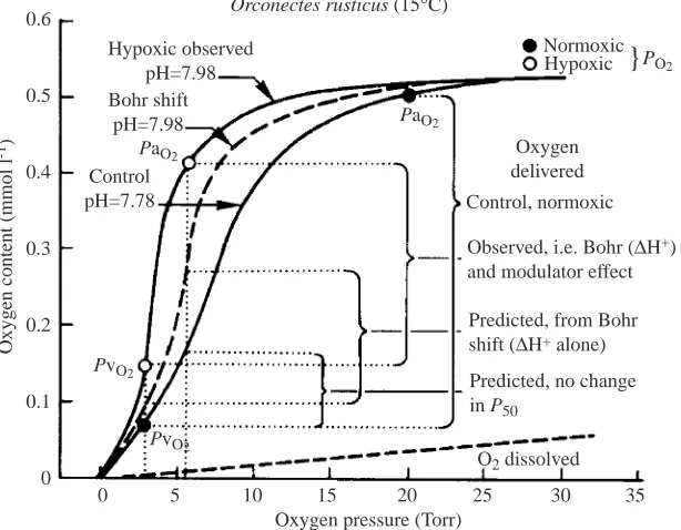 Fig. 5. Compensation for hypoxic exposure in thecrayﬁsh Orconectes rusticus: changes in circulatingoxygen levels, oxygen affinity and delivery ofoxygen to tissues