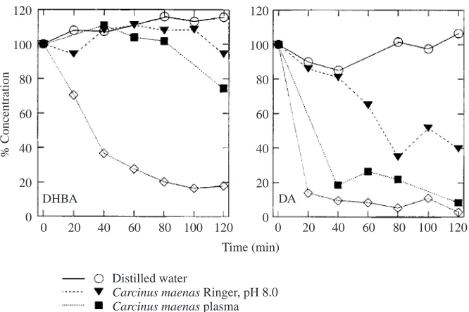 Fig. 7. Percentage change in concentrationsof the catecholamines dihydroxybenzylaminecatecholamine