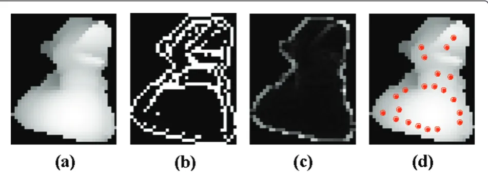 Figure 5 Point-of-interest selectionthe normal vector components.. (a) Range image. (b) Edge detection image