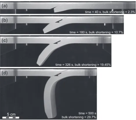 Fig. 7. Surface views of the model in Experiment 1. Correlation of successive images allows the derivation of a velocity ﬁeld (arrows)