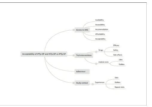 Fig 2. Analysis framework for focus group discussions with trial participants.