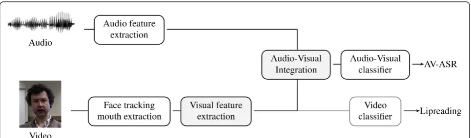 Figure 1 Standard AV-ASR systemfor speech recognition are extracted and fed to the audio-visual integration block and classifier