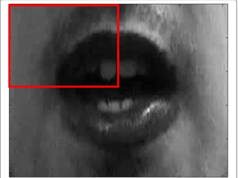 Figure 3 Example of frontal patch of a mouth. Example of the definition of a frontal patch of a mouth image necessary to the LLRcomputation.