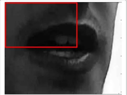 Figure 4 Example of lateral patch of a mouth. Example of the definition of a frontal patch of a mouth image necessary to the LLRcomputation.