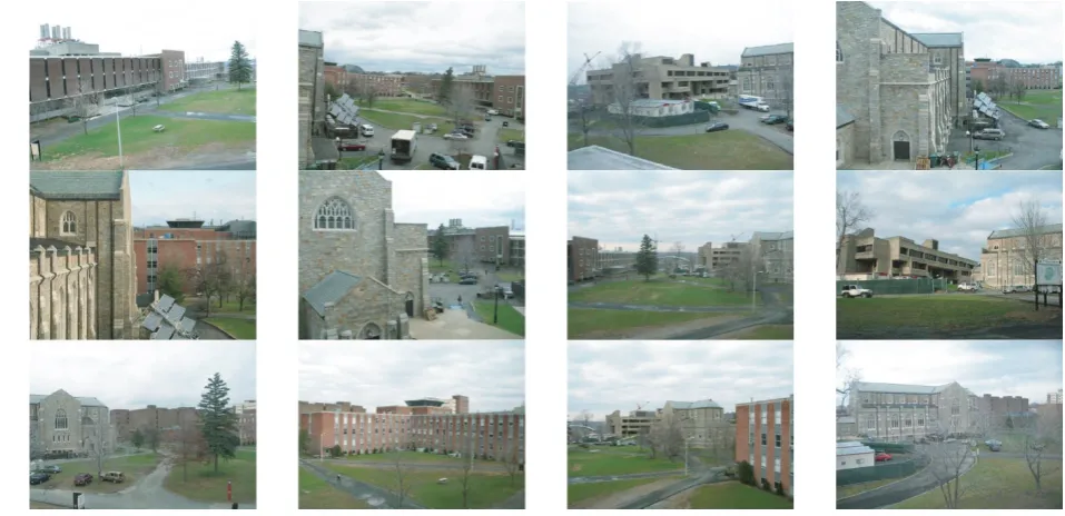 Figure 4: Sample images from the 60-image test set.
