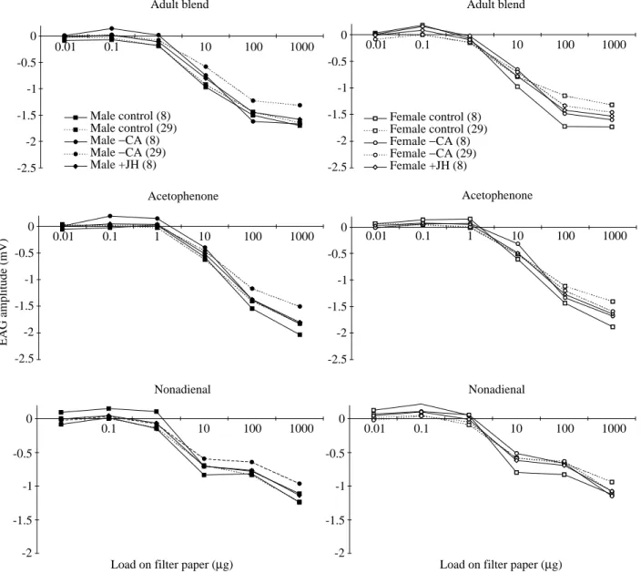 Fig. 3. Mean electroantennogram (EAG) amplitudes (N=5) in response to the adult aggregation pheromone (adult blend), acetophenone and (E,Z)-2,6-nonadienal in control, allatectomized ( − CA) and juvenile hormone (JH)-injected (+JH) locusts