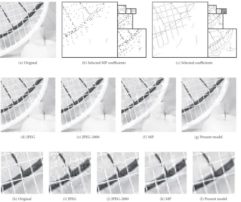 Figure 9: Compression results at 1(j), (k), (l) 36.03 bpp. (a) 96×96 tile of the “Bike” image