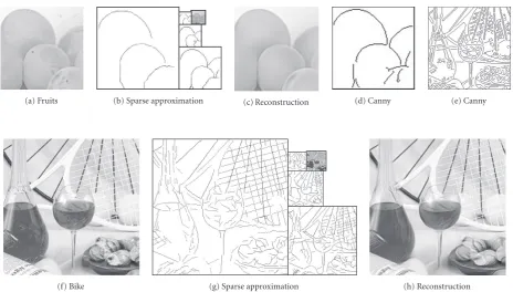 Figure 7: Extraction of multiscale edges and reconstruction. (a) 96image “Bike.” (b), (g) Edges extracted by the proposed model