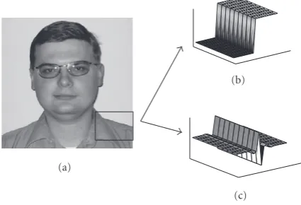 Figure 8: Shape cosets from the shape codebook Y.