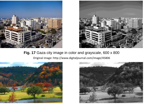Fig. 17 Gaza city image in color and grayscale, 600 x 800  