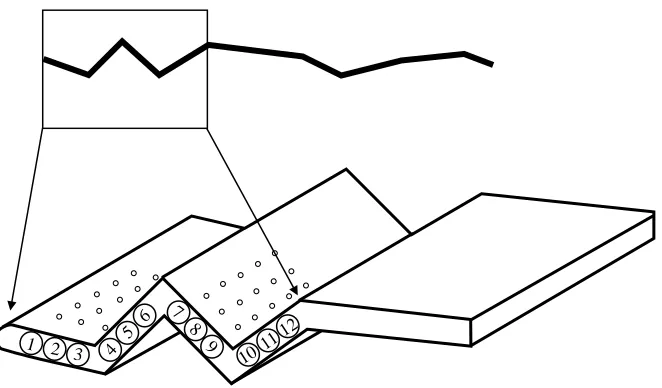 Fig. 3. Geometry of proﬁle 4 with the 12 pipes,each with ﬁve holes on the upper and lowersurfaces of the proﬁle