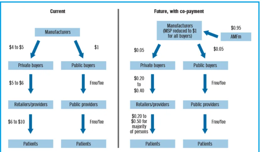 Figure 2.Logic framework for evaluating AMFm programme