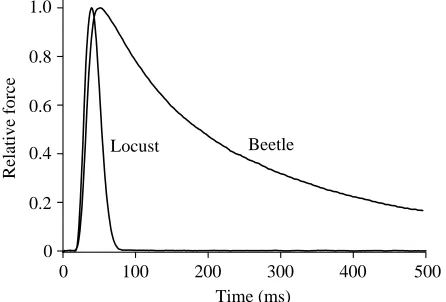 Fig. 1. Wing thrust (top trace in each pair) and muscle actionpotentials (electromyogram recordings, EMGs) during tetheredﬂight