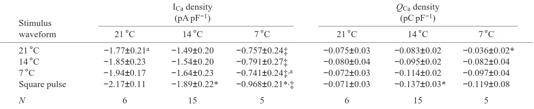 Table 3. Ca2+ current (ICa) and charge transfer (QCa) at test temperatures of 21, 14 and 7°C, stimulated with a standard squarepulse (500ms duration from a holding potential of –70mV to +10mV) and with action potential waveforms recorded from arepresentati