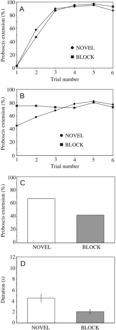 Fig. 3. Summary of acquisition curves and test trials in the blockingexperiment. The odorants 1-hexanol, 1-octanol, geraniol and 2-octanone were counterbalanced as A, X and N