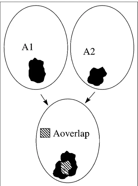 Fig 2. Diagram illustrates the method for calculating the pa-