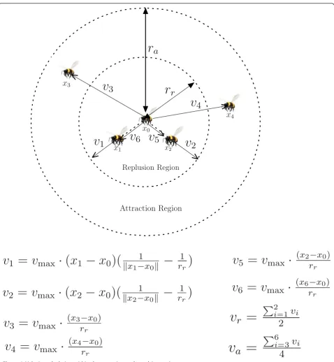 Figure 2 Velocity calculation within the attraction and repulsion regions.
