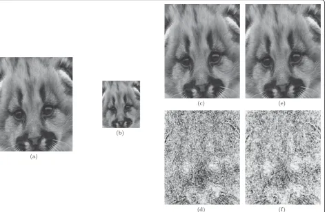 Figure 5 Visual comparison of super-resolution resultsYang. (a) Original image; (b) low resolution image; (c) Yang’s method; (d) SSIM-map of’s method; (e) proposed method; (f) SSIM-map of proposed method.