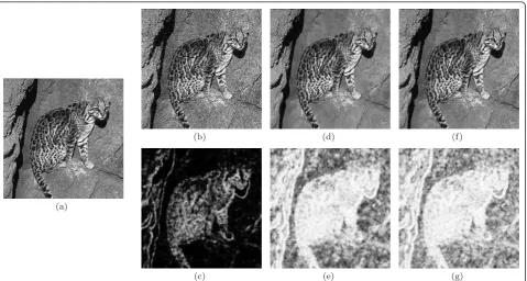 Table 2 SSIM and PSNR comparisons of image super-resolution results