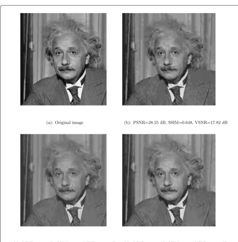 Figure 10 Reconstructed image at 0.1 bpp using: (a) Original “einst” image, (b) NSLS(2,2), (c) NSLS(2,2)-OPT-L2, (d) NSLS(2,2)-OPT2-WL1.