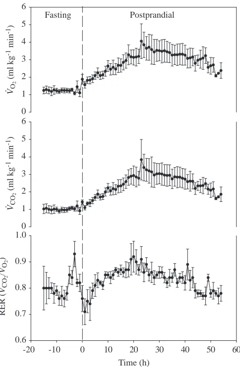 Fig. 3. The effects of meal size, expressed as a percentage of bodymass, on the incremental increase in the meal