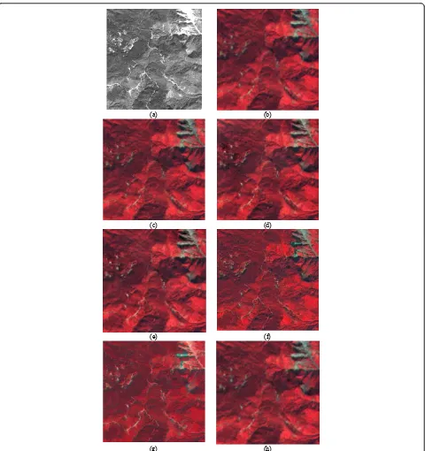 Figure 7 Comparison of different fusion methods using SPOT images: (a)pyramid-based EMD (reduced scale = 1), panchromatic image, (b) MS image, (c) row-column EMD, (d) (e) pyramid-based EMD (reduced scale = 2), (f) modified IHS, (g) PCA, (h) Wavelet.