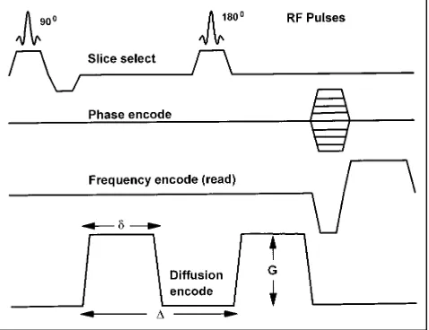 Fig 1. Spin-echo sequence with diffusion-probing gradients of