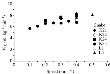 Fig. 1. Rates of oxygen consumption (O∑maxbeing achieved at 0.4kmh−1) as a function of crawlingspeed for six juvenile S0.3kmh−1