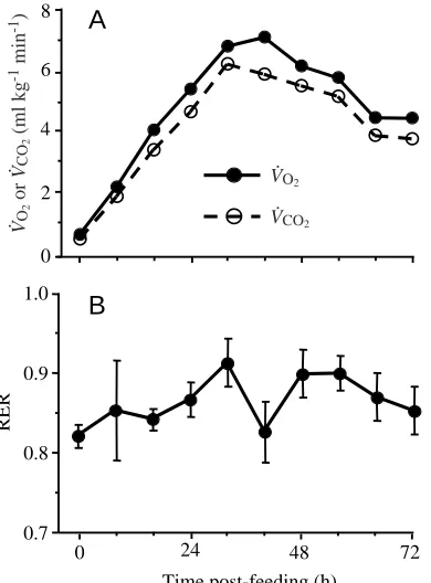 Table 1. Comparison of gas exchange (V˙O2, V˙CO2), respiratory exchange ratio (RER), breathing frequency, tidal volume, minuteventilation (V˙E), heart rate, blood ﬂow through the right and left systemic arteries, cardiac output (Q˙ sys*), stroke volume (Vs*),O2 extraction and CO2 carriage of juvenile Burmese pythons Python molurus (mean mass 1380±60g) resting while fasted,exercising while fasted, peak during digestion and exercising at 72 h post-feeding