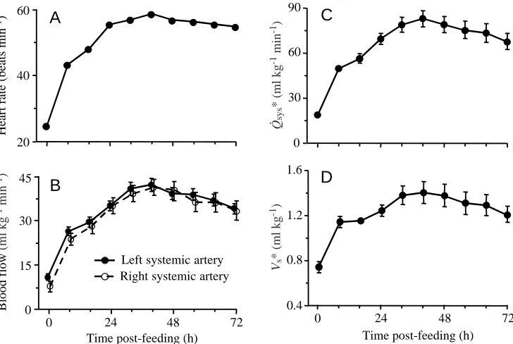 Fig. 4. (A) Heart rate, (B) blood ﬂowthough the left and right systemicfor six juvenile to (0h) and up to 72 h afterconsuming a rat meal equivalent to25% of the snake’s body mass.Vertical bars represent ±1 bars are omitted if they are smallerthan the symbol for the mean value.Note the signiﬁcant postprandialincreases in heart rate, blood ﬂow,systemic output and stroke volume,arteries, (C) systemic cardiac output(Q.sys*) and (D) stroke volume (Vs*)Python molurus priorS.E.M., butall peaking at 40h post-feeding.