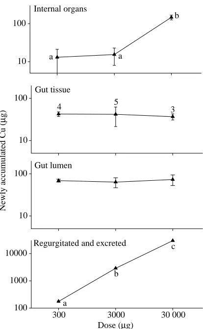 Fig. 3. The relationship between backgroundcopper concentration (absorption of µgg−1 wetmass) and the64Cu (new Cu) (µgg−1wet mass) 72hafter infusion