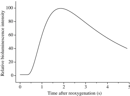 Fig. 1. Time course of a typical pseudoﬂash in Pyrearinustermitilluminans caused by sequential anoxia and reoxygenation withnitrogen as carrier gas.