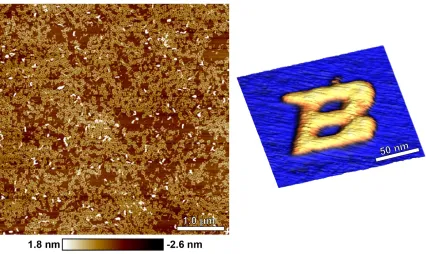 Figure 1-1 The Boise State logo self-assembled using synthetic DNA strands. and processed image of a single structure