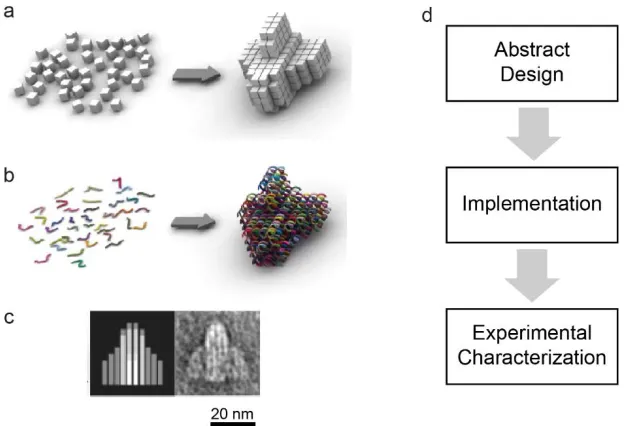 Figure 1-4 Typical state-of-the-art design process illustrated using the DNA illustrating three key steps in the design process