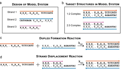 Figure 2-5 A model system for studying the impact of non-target structures on reaction kinetics