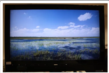 Figure 3 The captured image. This is an example image of the TVscreen captured by the camera