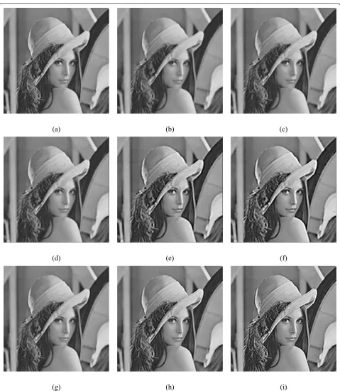 Figure 4 Comparison of results (Test image “Lena”, 512 × 512 pixels) obtained by using different image enlargement methods