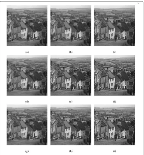 Figure 6 Comparison of results (Test image “Goldhill” (512 × 512 pixels) obtained by using different image enlargement methods
