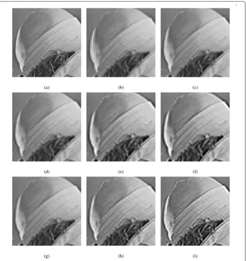 Figure 7 Zoomed example 1 of test image “Lena”. (a)-(i) Zoomed portions of Figure 4a-i, respectively.