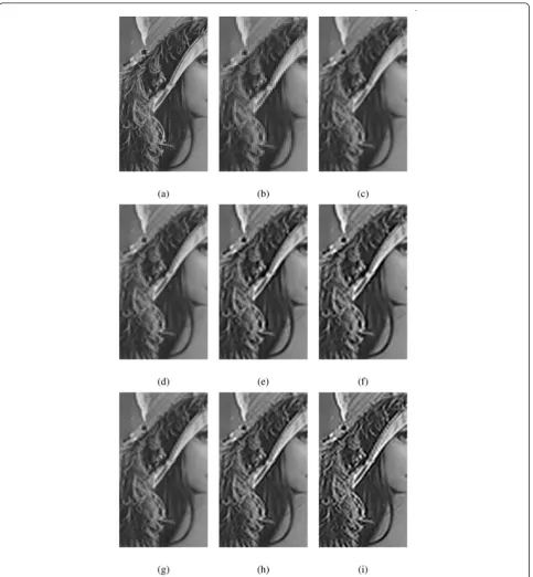 Figure 8 Zoomed example 2 of test image “Lena”. (a)-(i) Zoomed portions of Figure 4a-i, respectively.