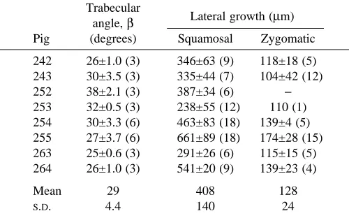 Table 4. Squamosal and zygomatic ﬂange peak principal strains during masseter stimulation