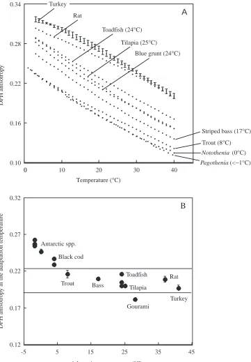 Fig. 1. The values of DPH anisotropy at theadaptation species (see Table 1). Each data pointrepresents a separate species, asindicated (mean ±relationship between1,6-diphenyl-1,3,5-hexatriene (DPH)anisotropy for brain synapticmembranes isolated from the di