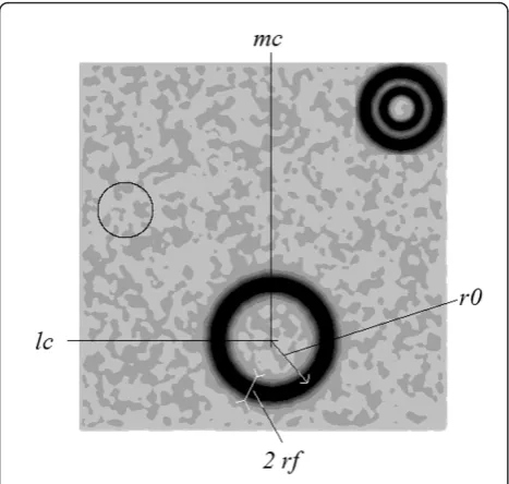 Figure 1 Image model and parameters characterizing a blurredwidth 2circular contour: center coordinates {lc; mc}, radius r0, andrf