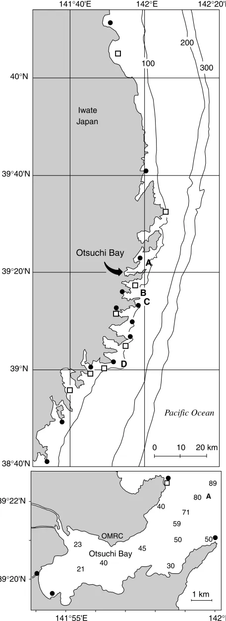Fig. 1. Maps showing the study site off the Sanriku coast, Japan. Thelower panel shows the Otsuchi Bay in more detail