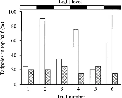 Fig. 1. Effects of pinealectomy on the vertical distribution oftadpoles at high and low ambient light levels