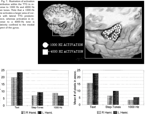 Fig 7. Illustration of activation