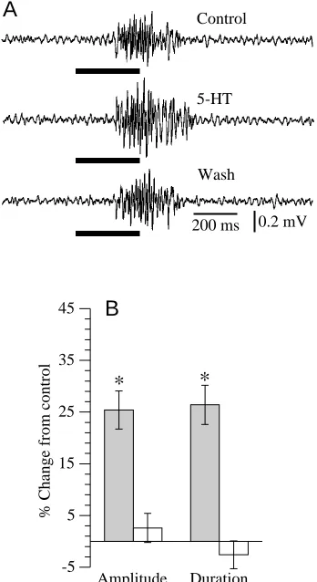 Fig. 6. (A) Extracellular recordings of pheromone-induced potentialoscillations in the macroglomerular complex before, during and afterdifferent from the control (application of 5-HT